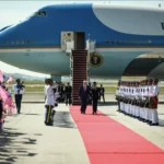 Susan Patton Interview