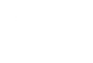 The Carter Center Logo White