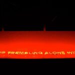 Detail Of Chabet FearTremblingAlone 2009